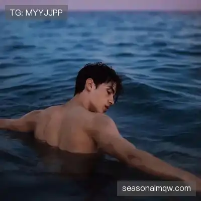 窦耿禹